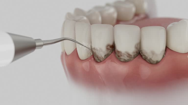 Reliable Dental contractor in Port Morris, NJ by Dentist Open Now